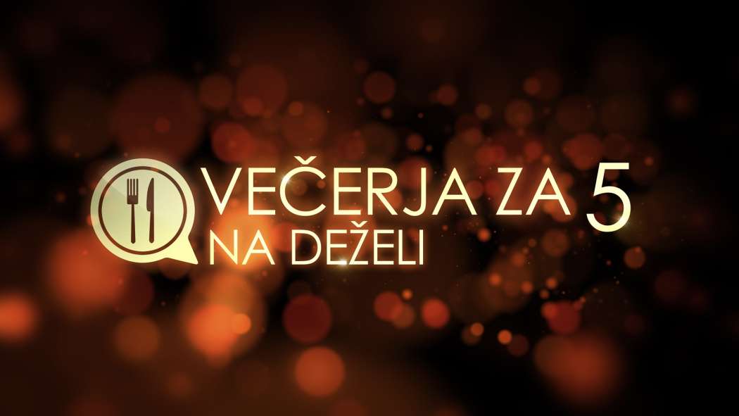 VZ5_Logo_2_Preview