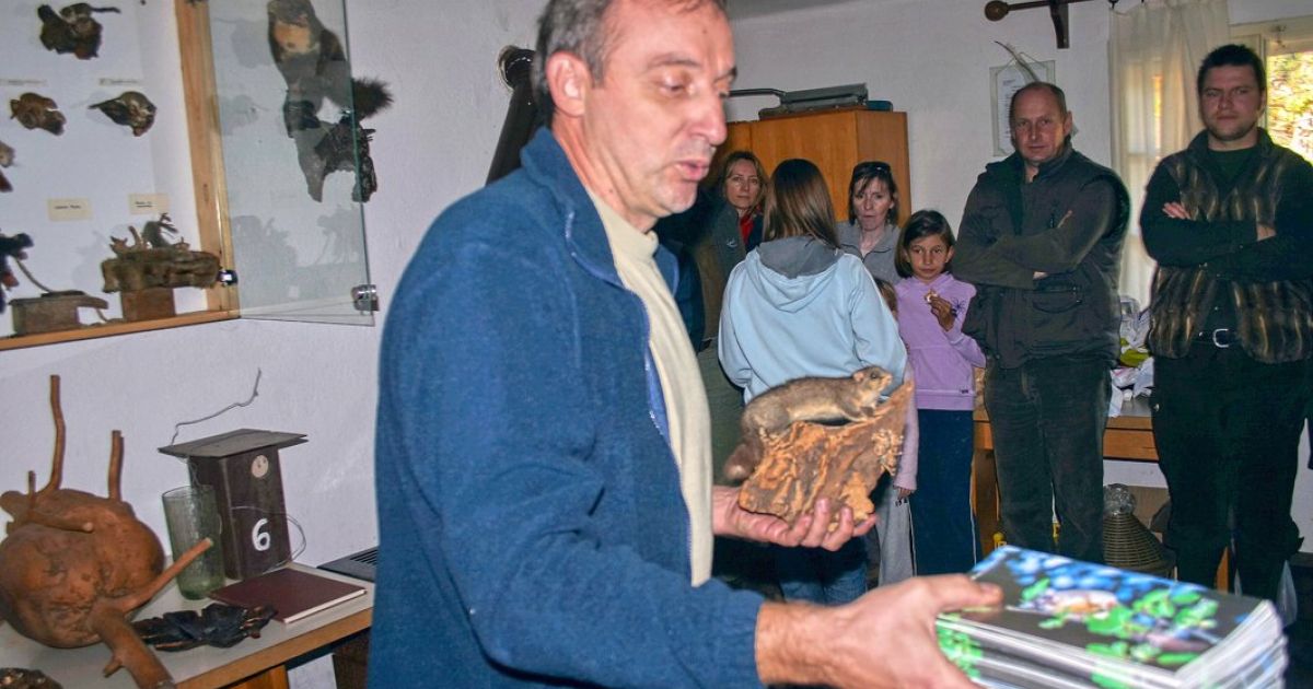 Polhi so še v marsičem skrivnostni - Svet24.si