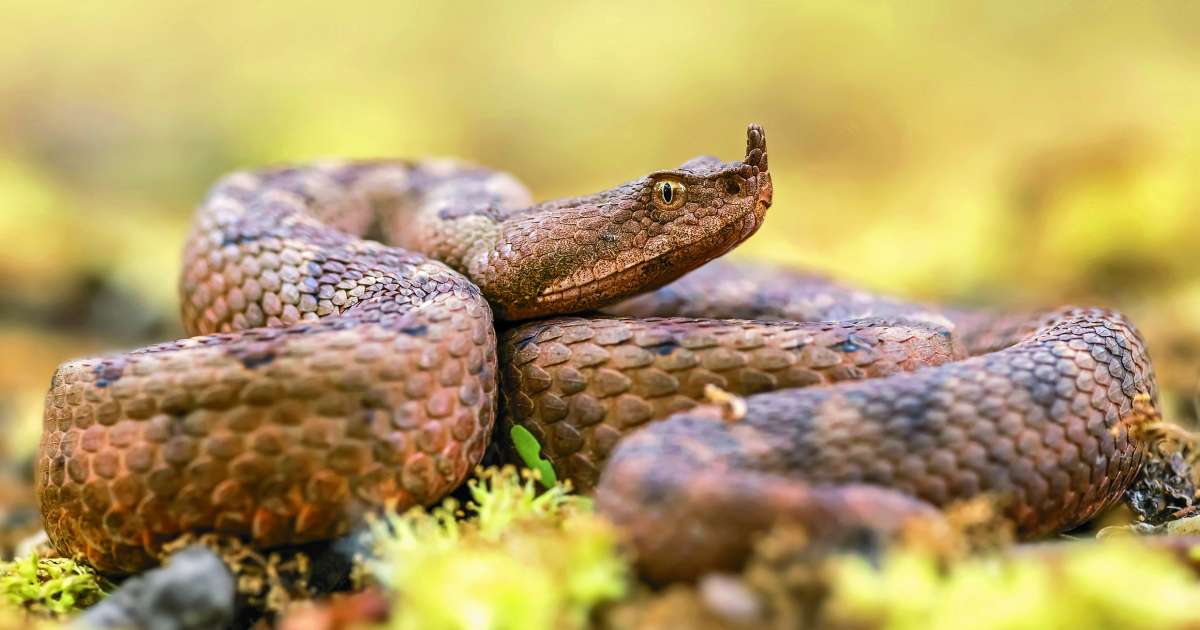 Kaj nam lahko pokvari dopust na Hrvaškem - Novice Svet24