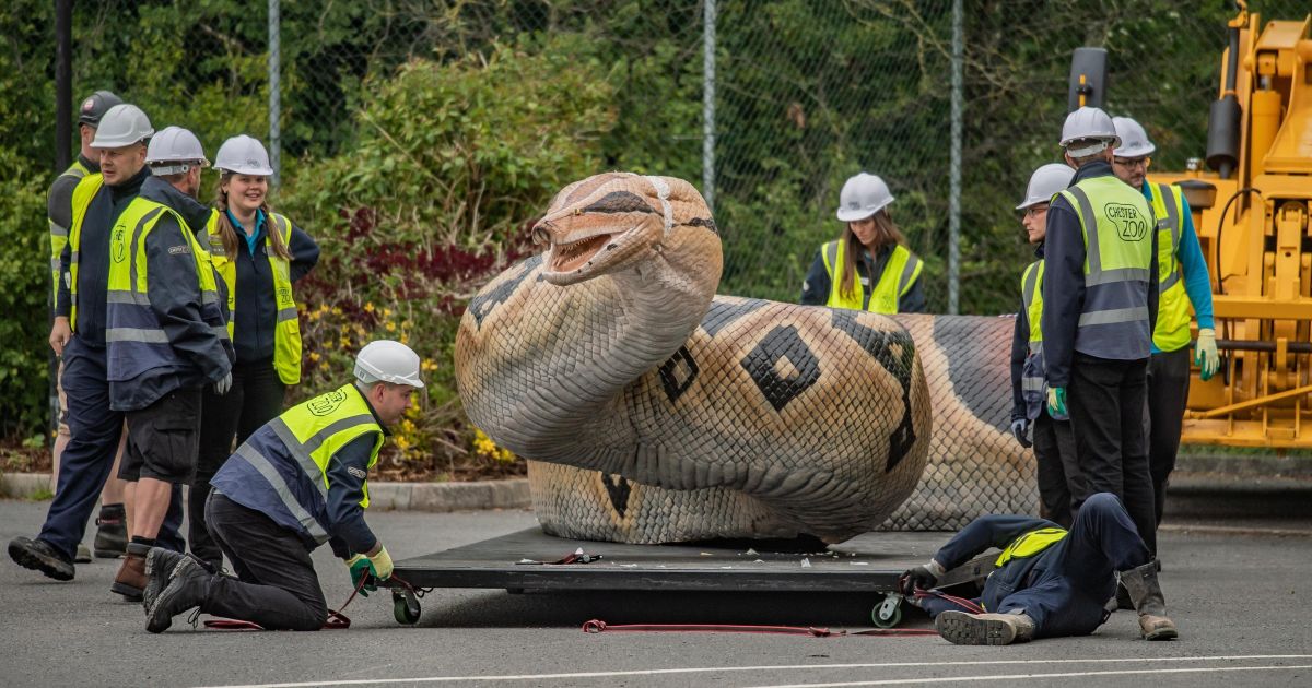Grozljivka o orjaški kači - Svet24.si
