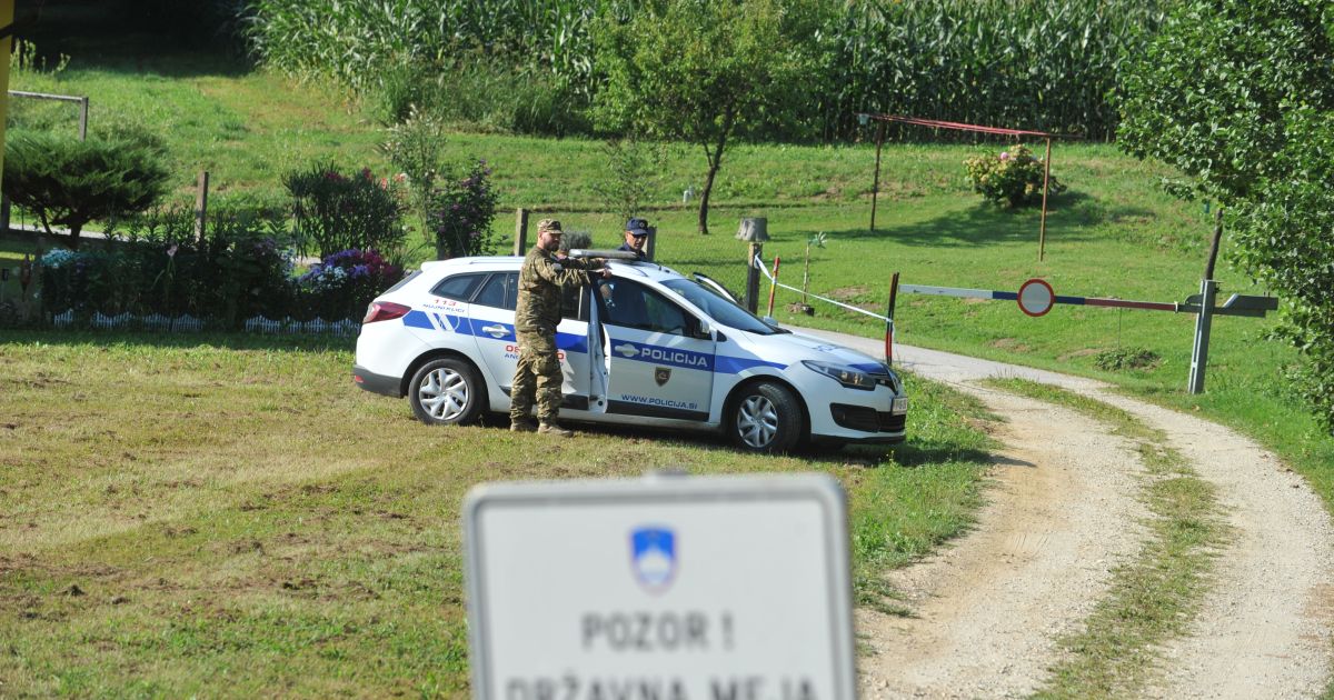 vestnik.si