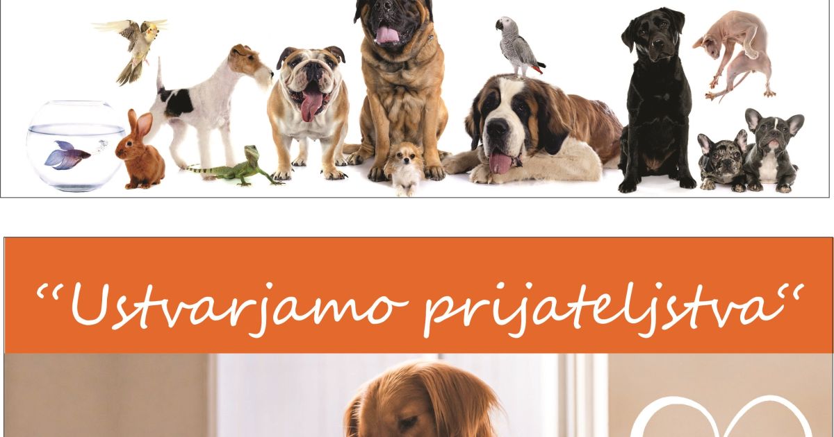 1 2 3 Radio Aktual Kum Za ivali Poskrbi Svet24 si