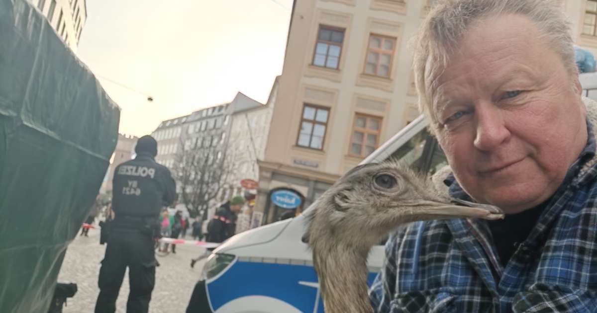 Der slowenische Sternvogel Nande wurde in Deutschland beschlagnahmt