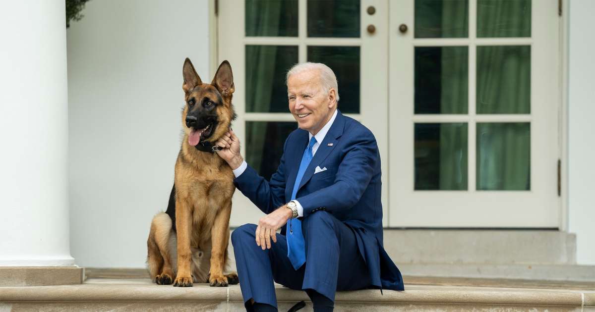 O cachorro de Biden foi proibido de entrar na Casa Branca por causa dos ataques