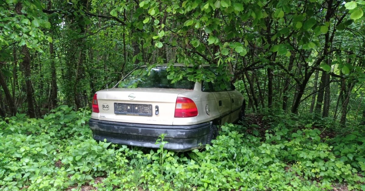 svet24.si