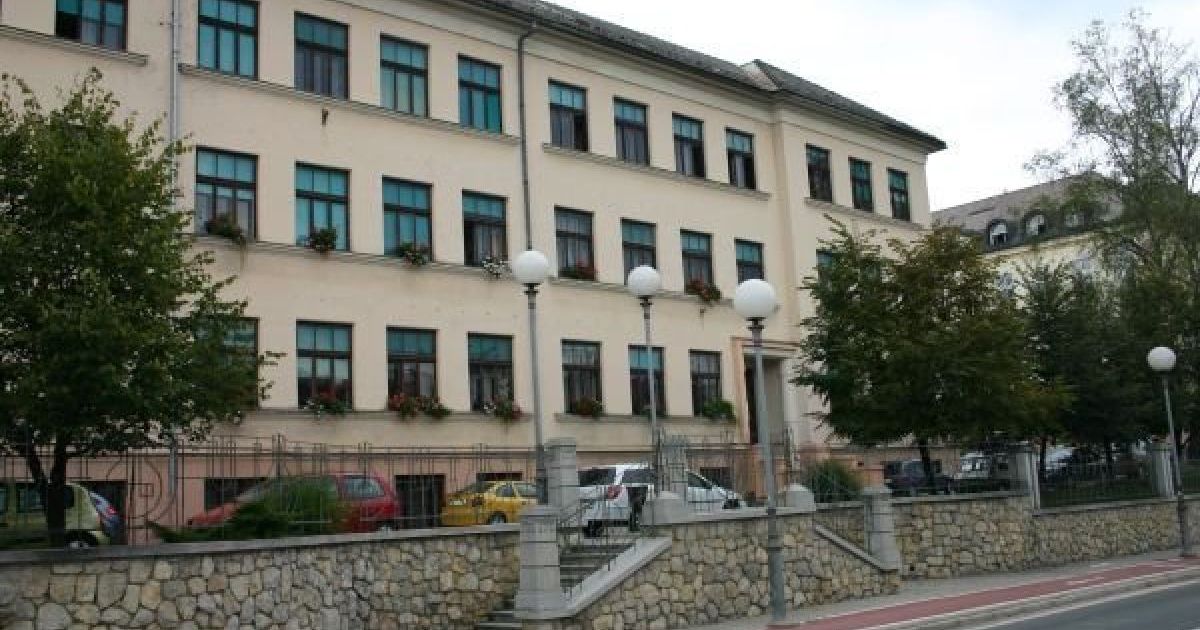Na OŠ Center ne raste samo knjiga, rastejo tudi učenci - Svet24.si