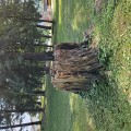_grajski_park__1_.jpg