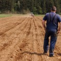 njiva traktor kmet