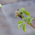 biodinamika naslovna-apr25.jpg