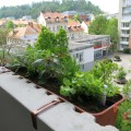 Urbani naslovna-apr22.JPG