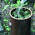 Biodinamika naslovna-maj21.jpg