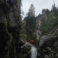 11-letnica.jpg