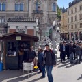 kostanj utica ljubljana.jpg