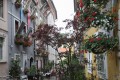 Pri ureditvi najbolj zelene ulice v prestolnici se zmeraj obrnejo po pomoč tudi na sosede, Ljubljančane in vse veleposlanike v Ljubljani, da po svojih močeh prispevajo rastline, posode in zemljo.