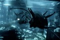 V četrtem delu Alien: Vstajenje (1997) se falanga zverinic nauči tudi potapljanja.