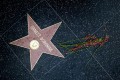 Ernest Borgnine je bil eden prvih, ki je dobil zvezdo na pločniku v Hollywoodu.
