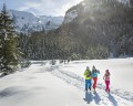 flachau-winterwandern-natur_Flachau-Tourismus_Markus-Berger (1).jpeg