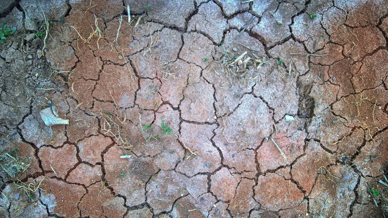Suša.jpg