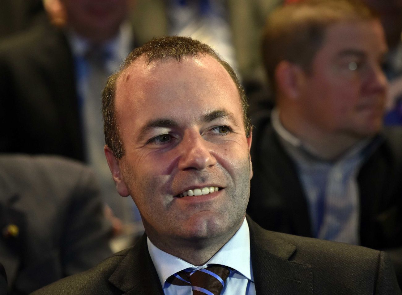 manfred weber sds bobo2.jpg