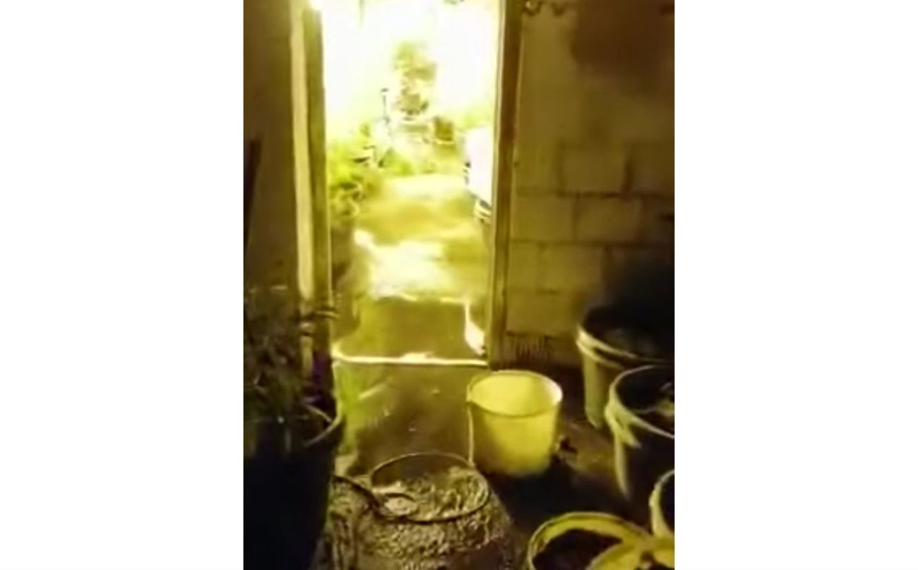 marihuana laboratorij.jpg