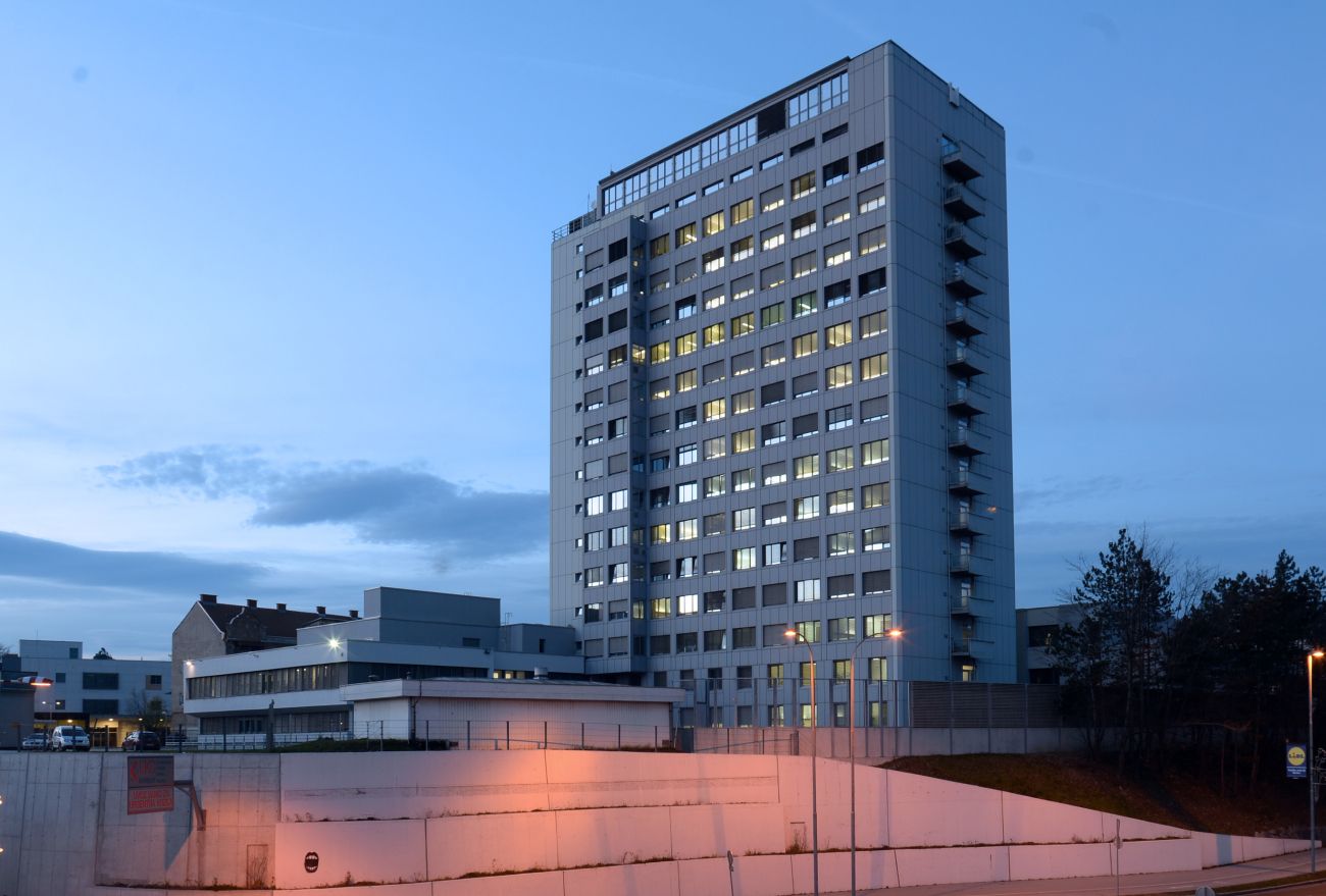 ukc maribor bobo.jpg