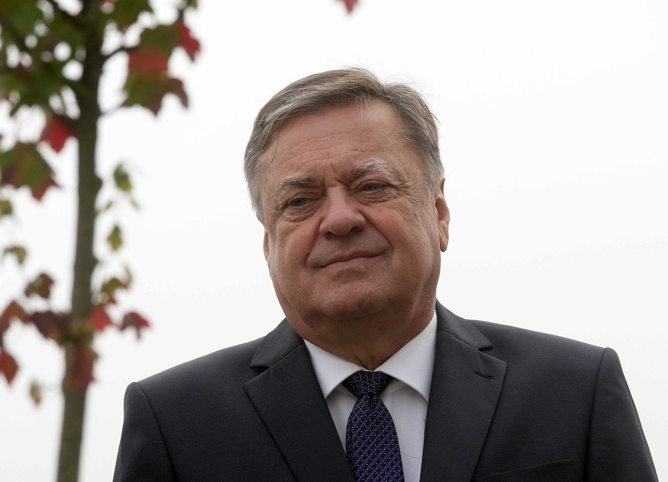 zoran jankovic bobo2.jpg