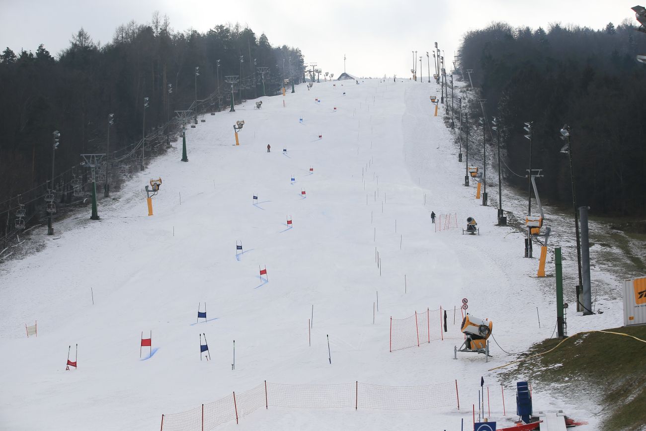 pohorje zlata lisica.jpg