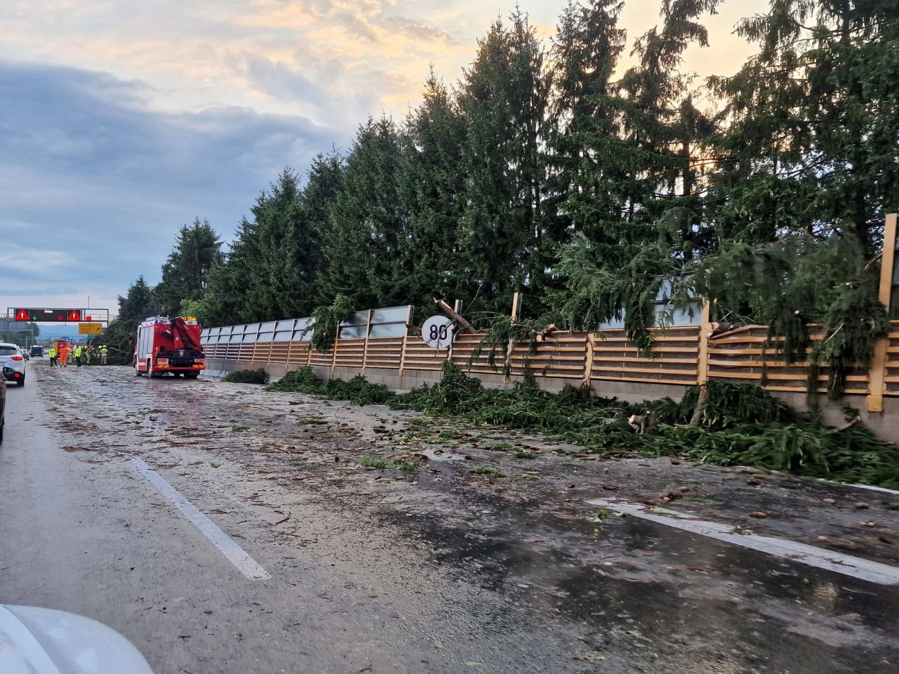 drevasa obvoznica tw.jpg