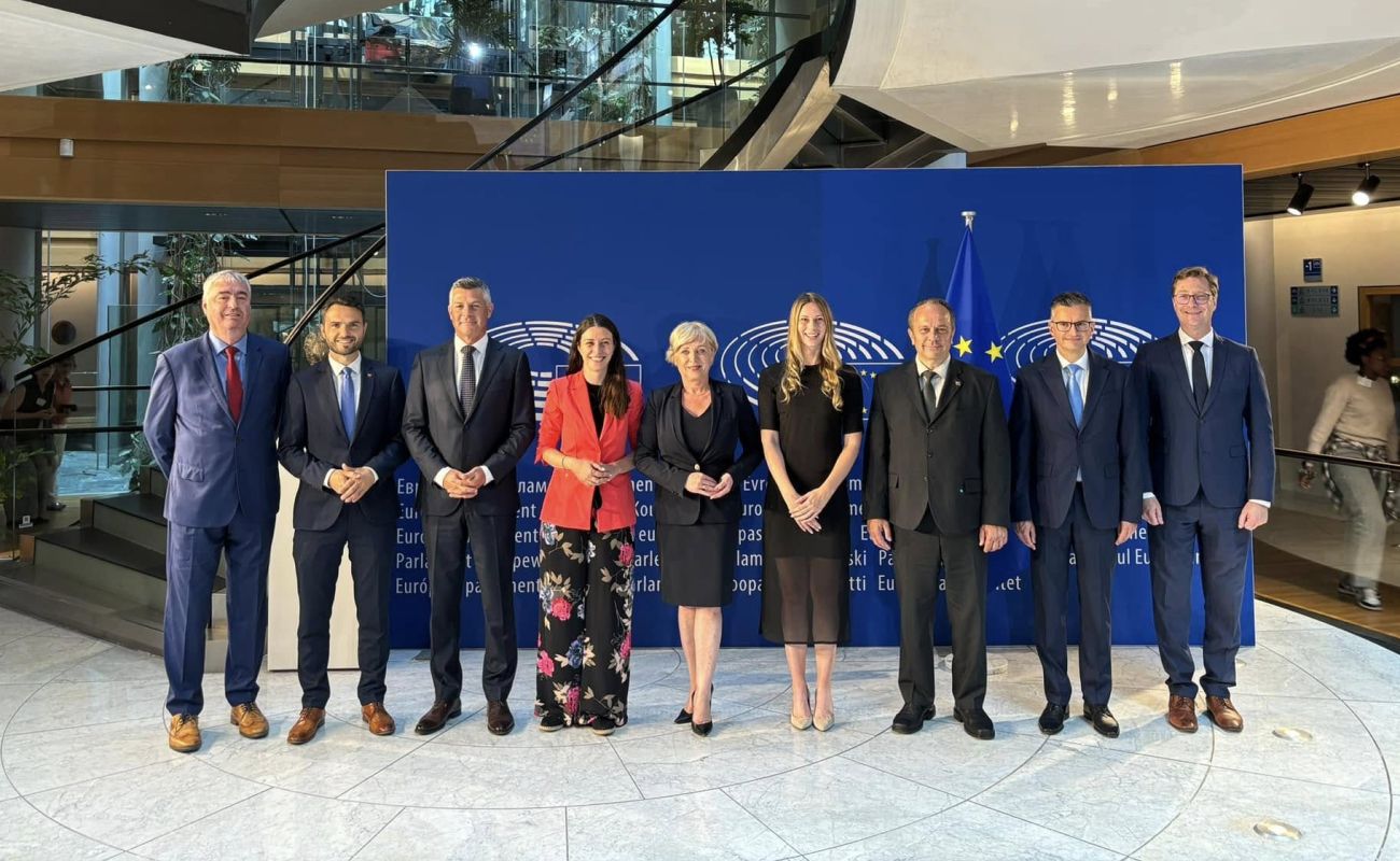 evropski poslanci slovenije-romana tomc-facebook.jpg