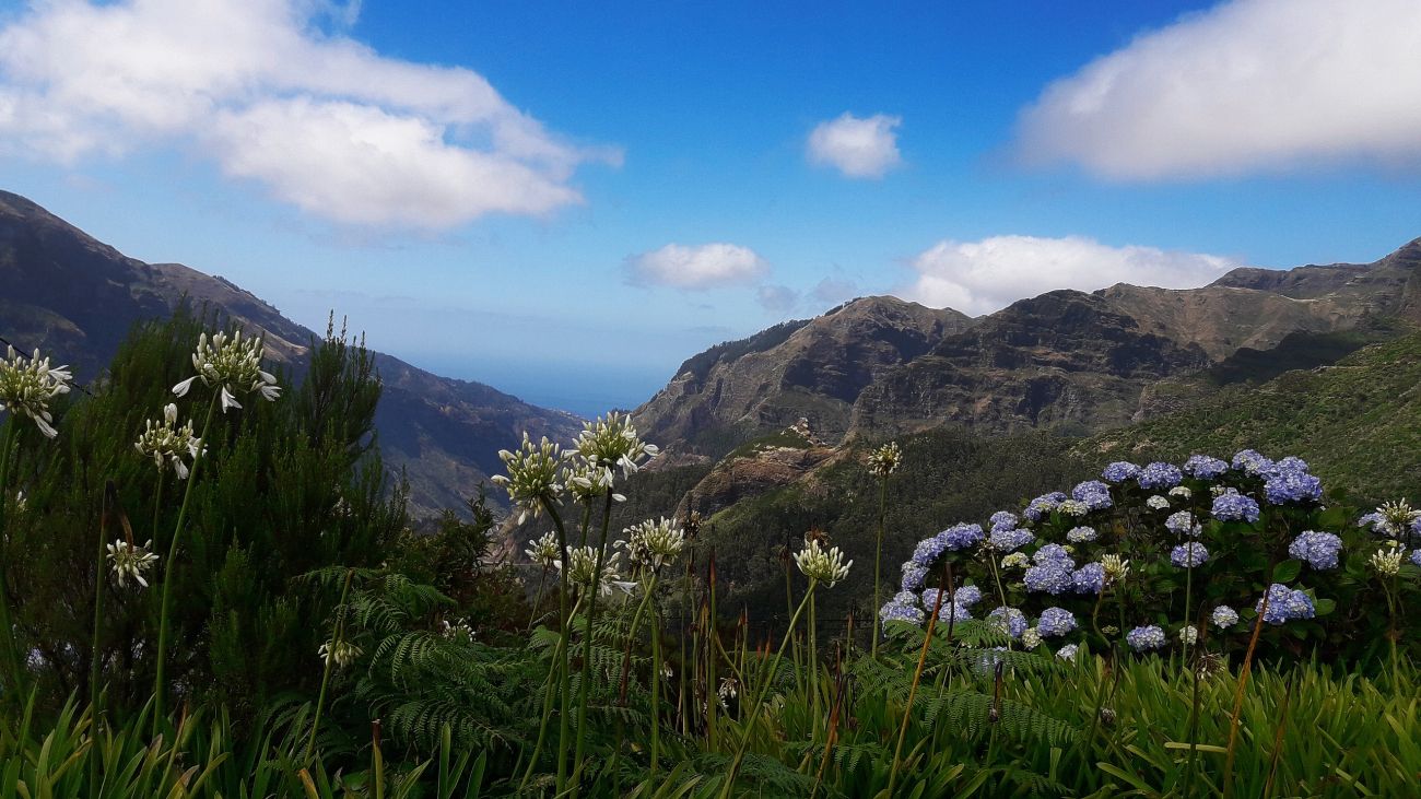 35 Madeira Narava.jpg