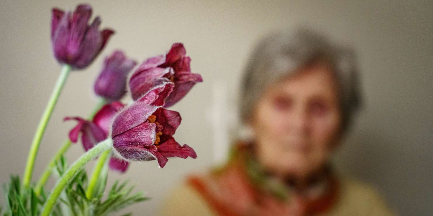 STAREJŠI fotoŠIMEN ZUPANČIČ