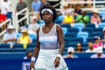 Venus Williams.jpg