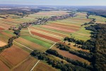 simbolična, gozd, dron, prekmurje, narava, podeželje, kobilje