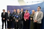 golob svoboda vlada v senci