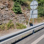 Labod na avtocesti