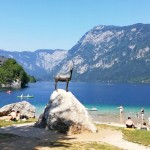 706956_175-bohinj