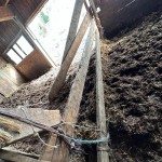 Foto: Kmetica že 13 let spi na umazanem seniku, zanemarjeni konji pa v gnoju