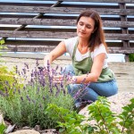 balkonsko-cvetje, ureditev-vrta