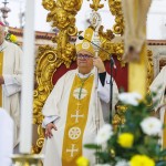 peter-stumpf, skofija-koper