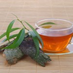 vrbovo lubje, čaj, poparek