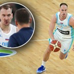 prepelic dragic sekulic