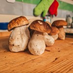 simbolična, gobe, goba, jurček, jurčki, grbanj