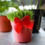 profimedia-0568938051 (1)