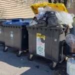 profimedia-0986793575