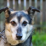 profimedia-0312535001