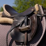 profimedia-1016928523