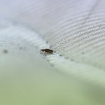 profimedia-1054467346