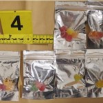 zaseg, ljubljana, droga