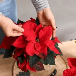 profimedia-0958642345