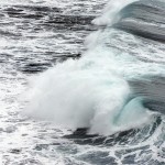 profimedia-1044685065